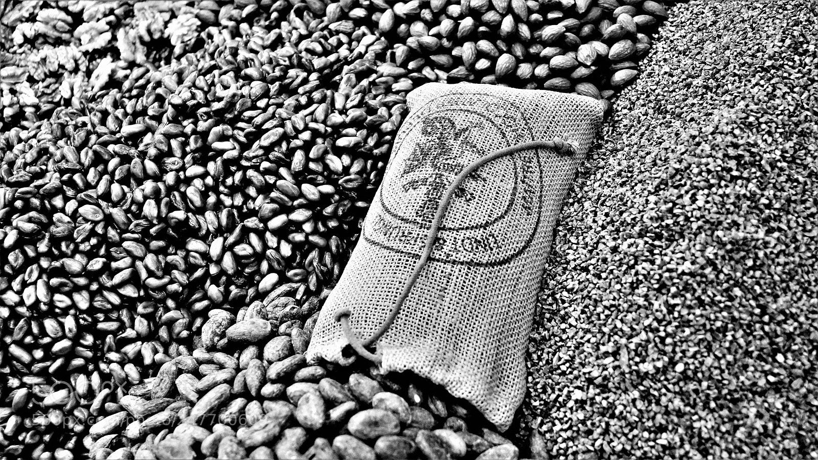 Sony SLT-A65 (SLT-A65V) sample photo. Cocoa&coffee photography