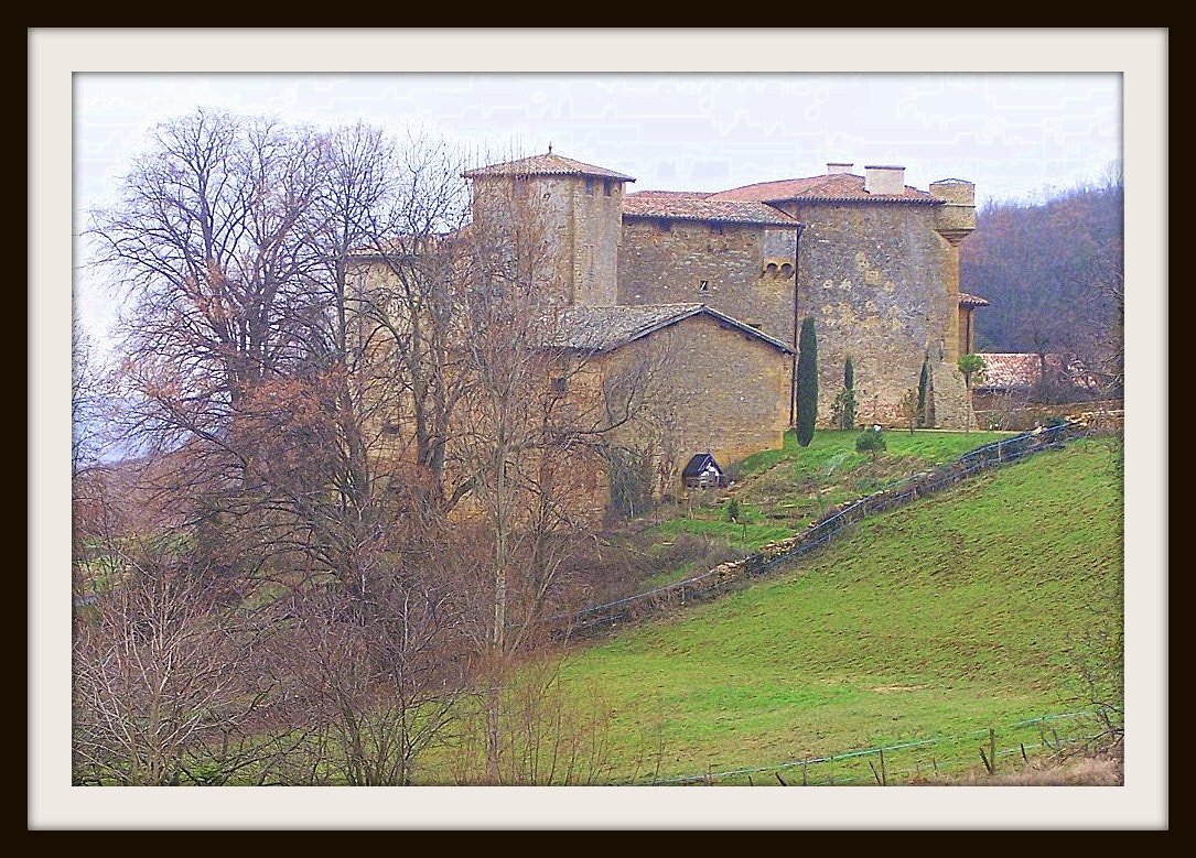Kodak Z740 ZOOM DIGITAL CAMERA sample photo. Beaujolais () france couleur photography