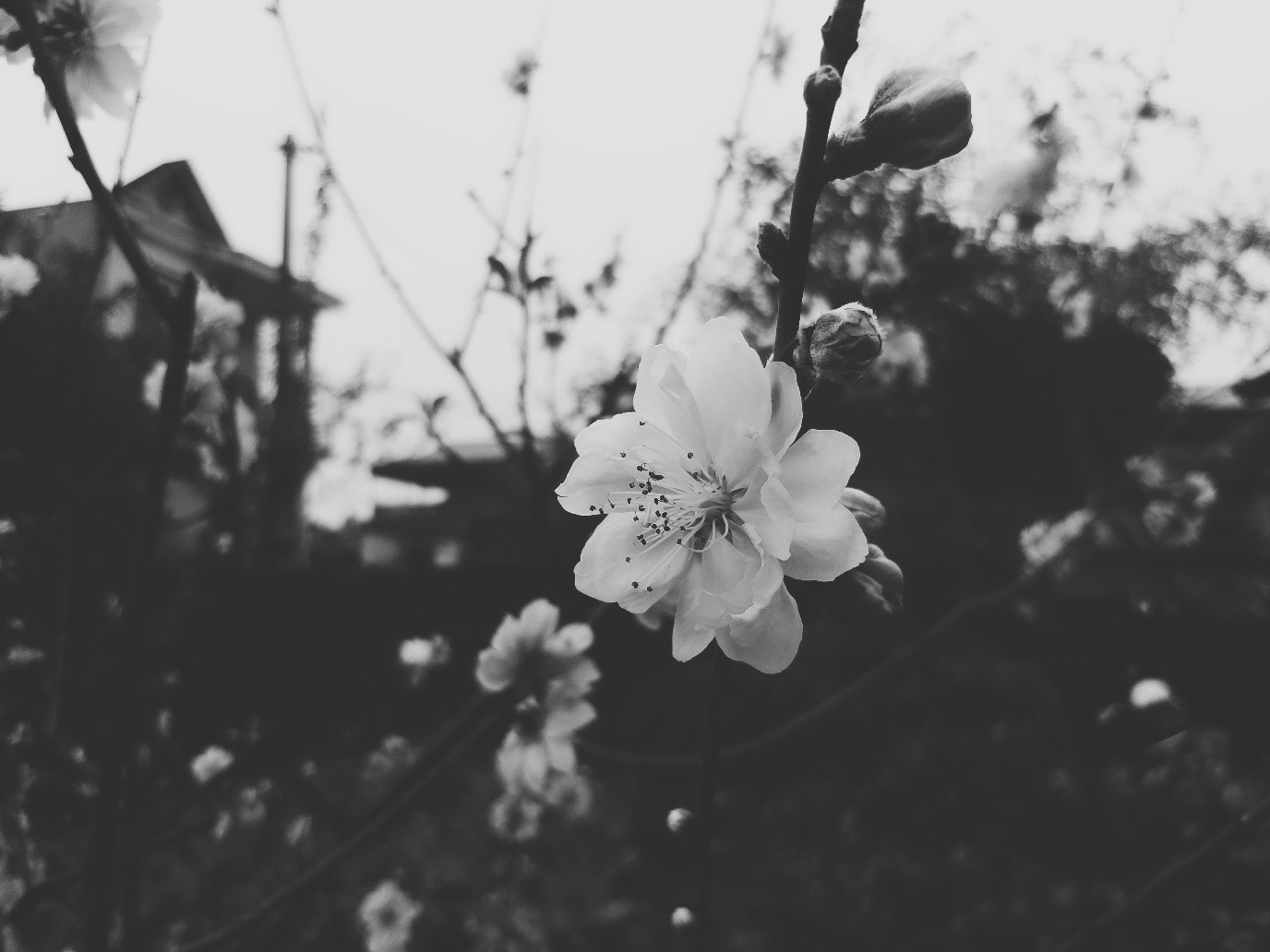 Samsung SM-G6100 sample photo. Beautiful photography