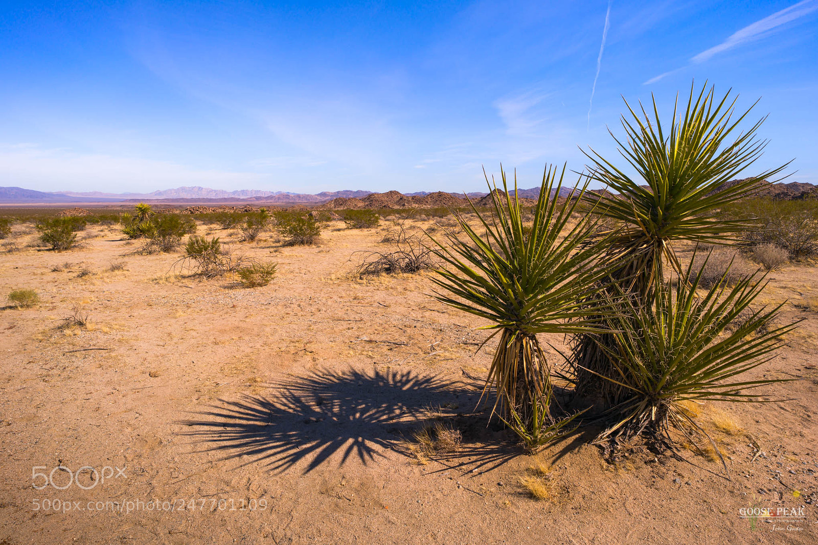Sony a7R II sample photo. Sonoran desert photography
