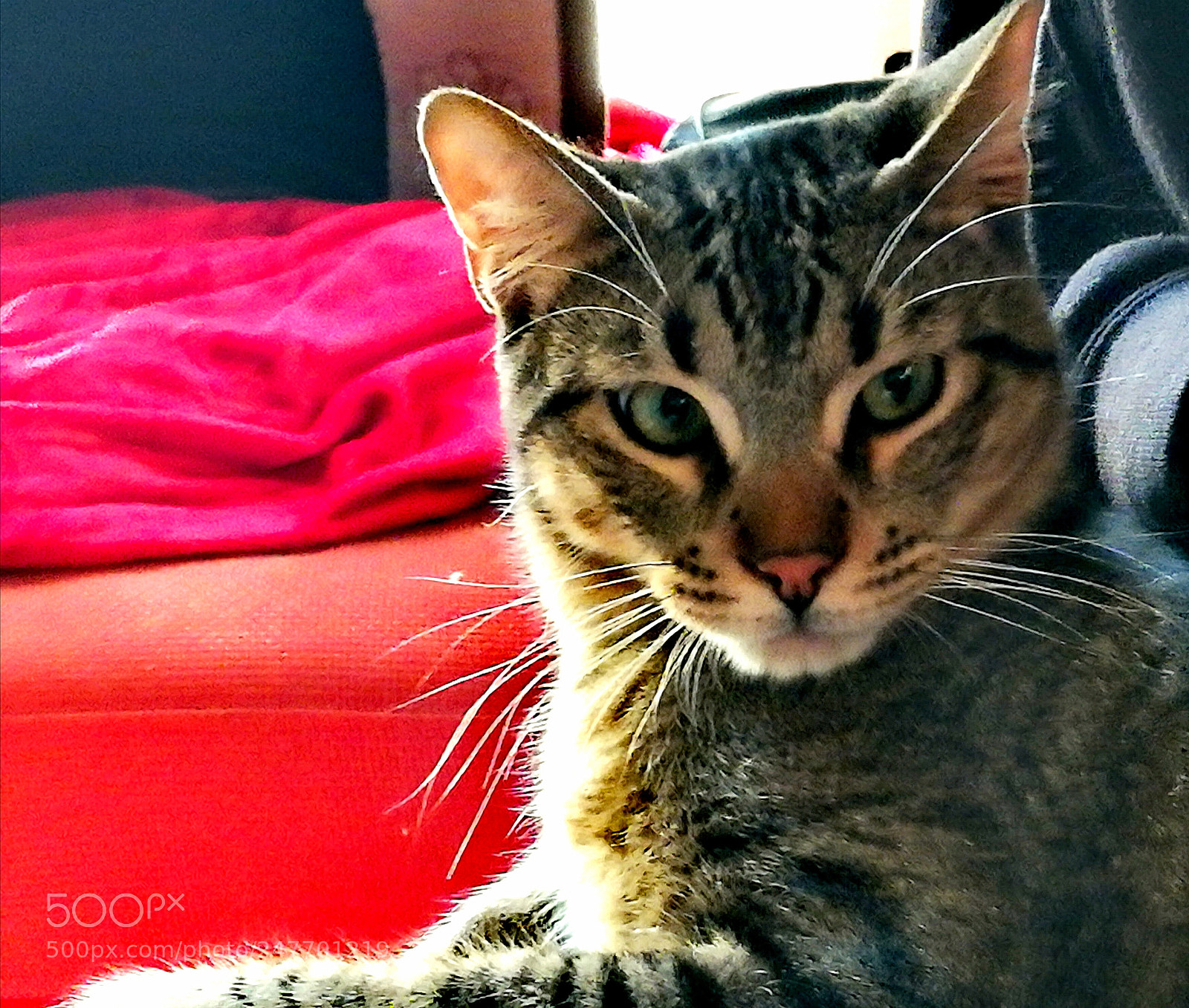 HUAWEI PRA-LX1 sample photo. Untitled photography
