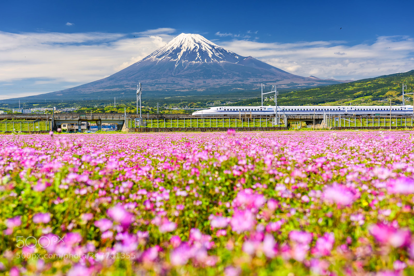 Nikon D810 sample photo. Jr n700 shinkansen with photography