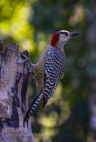 Canon EOS 7D sample photo. Untitled photography