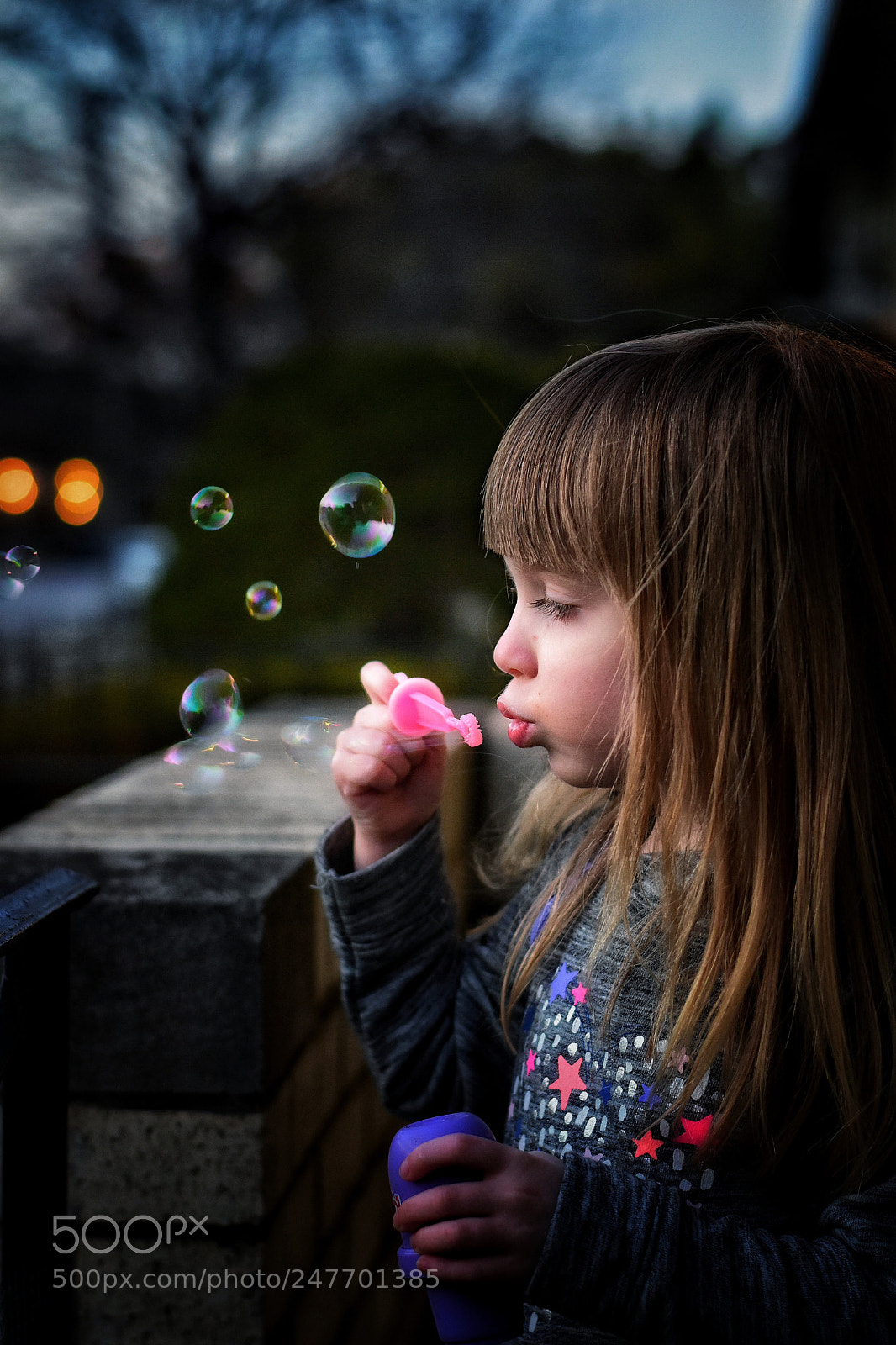 Nikon D5600 sample photo. Bubbles at dusk photography