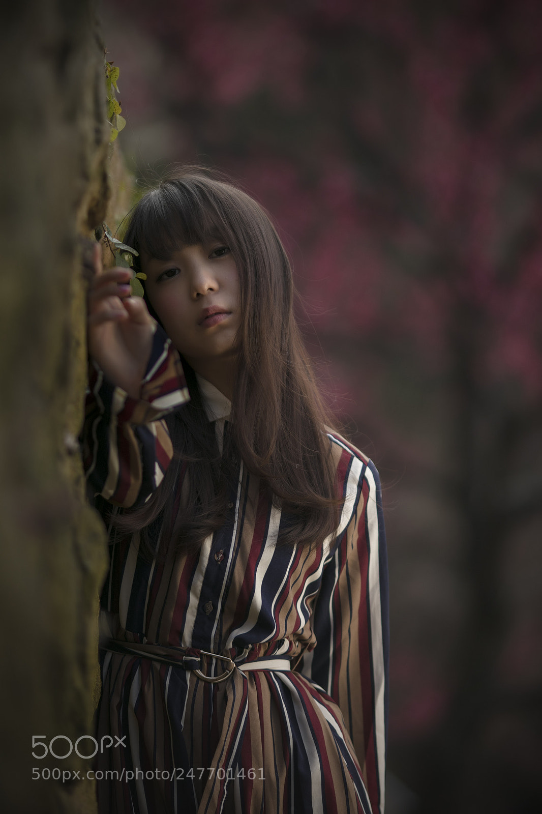 Canon EOS 5DS sample photo. Sora photography