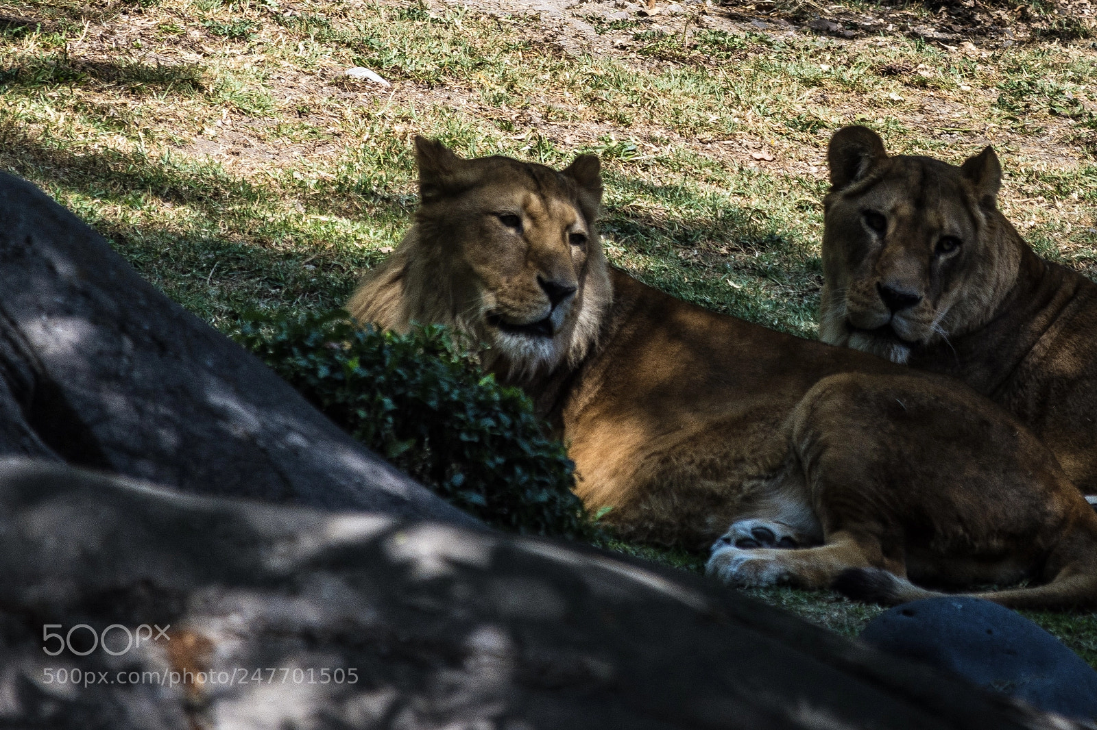 Nikon D7200 sample photo. Untitled photography
