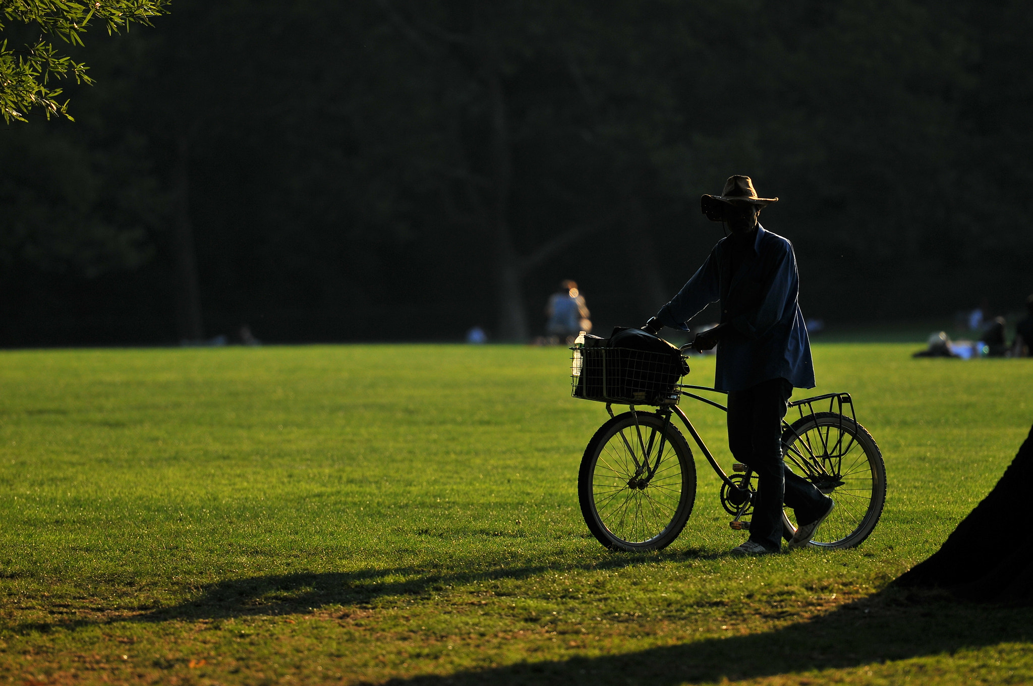 Nikon AF-S Nikkor 70-200mm F2.8G ED VR II sample photo. A good day photography