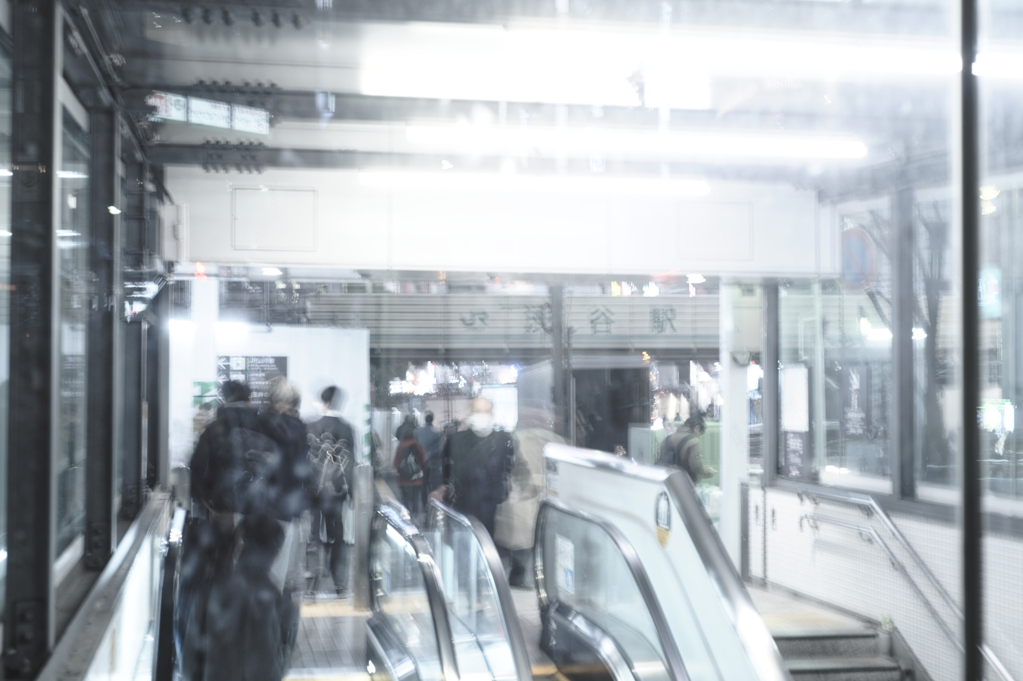 Nikon D750 + Nikon AF Nikkor 50mm F1.8D sample photo. I will leave that to your imagination#105 photography