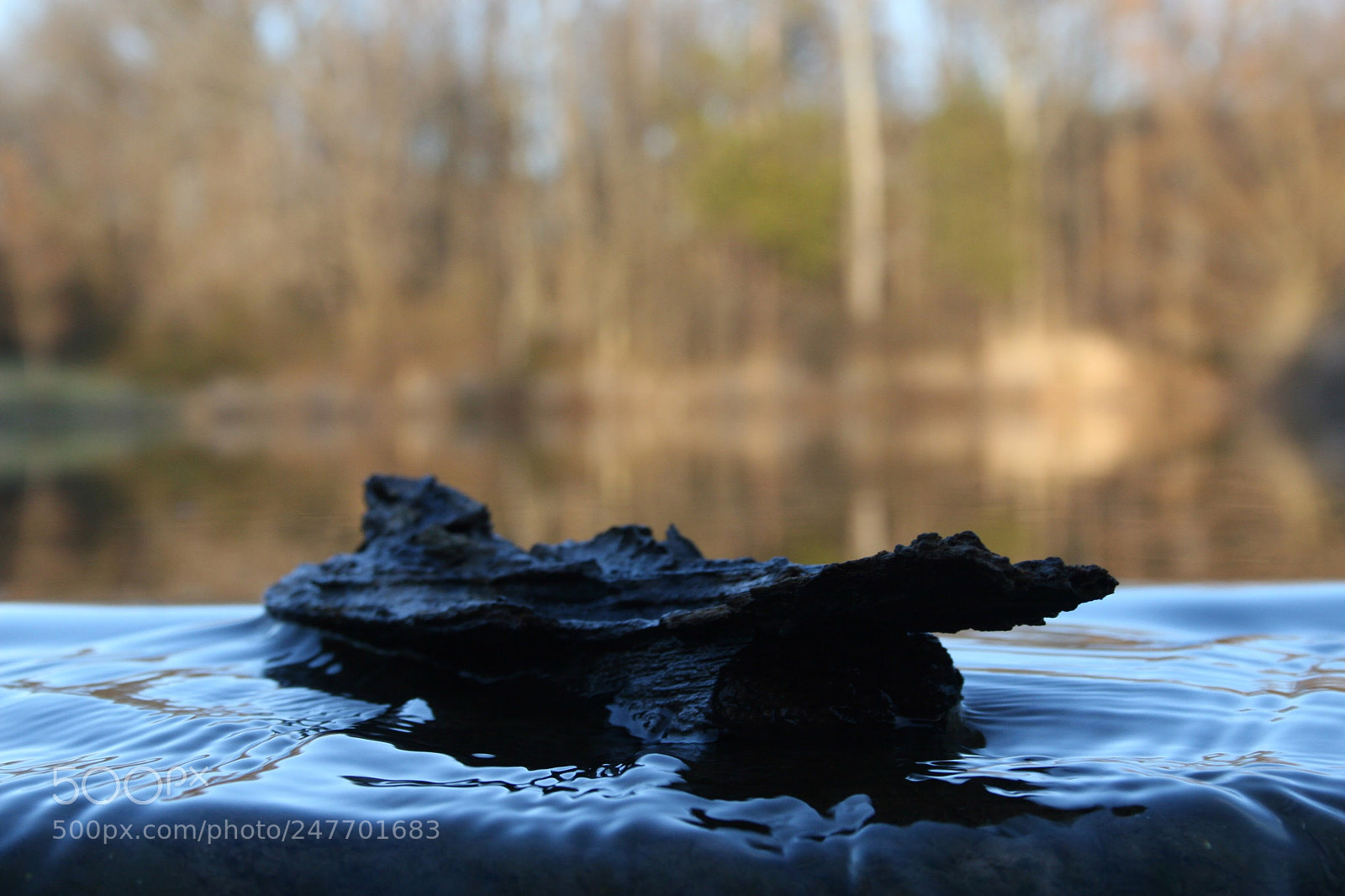 Canon EOS 30D sample photo. Untitled photography