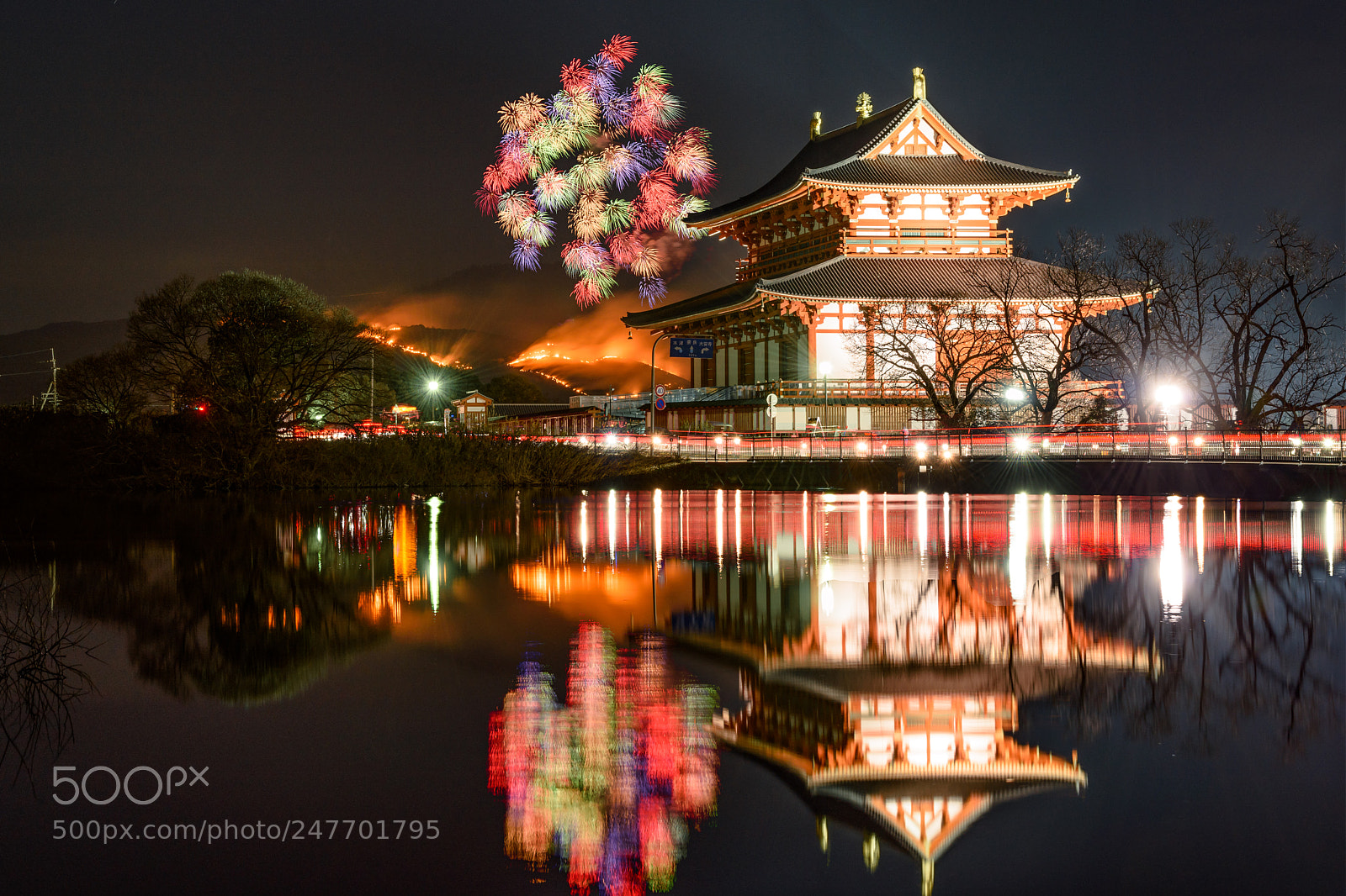 Nikon D810 sample photo. Winter fireworks photography