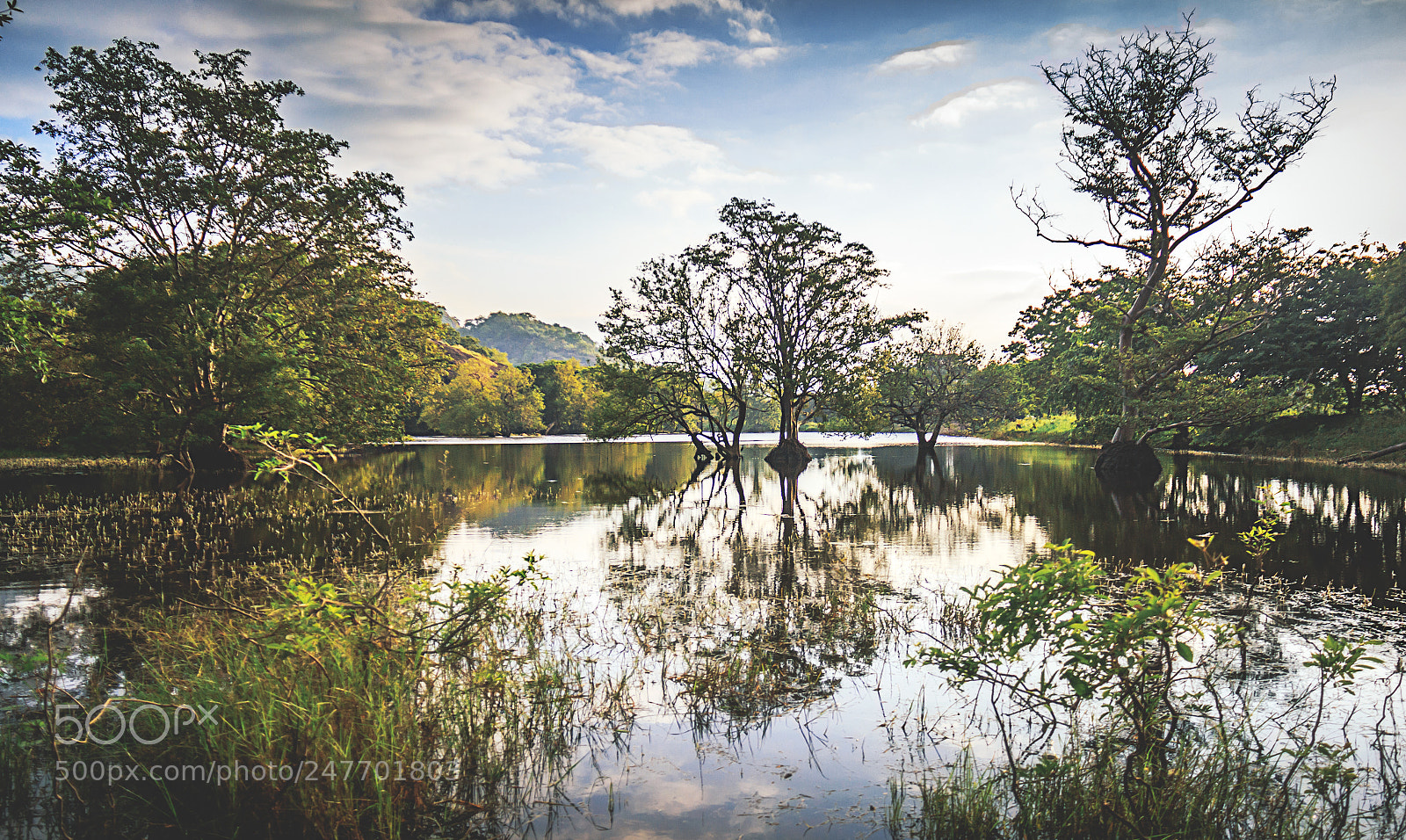 Canon EOS 600D (Rebel EOS T3i / EOS Kiss X5) sample photo. The kaludiya pokuna forest photography