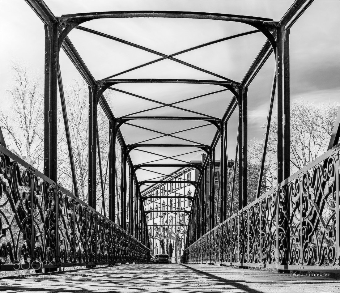 Sony Alpha DSLR-A230 sample photo. Bridge photography