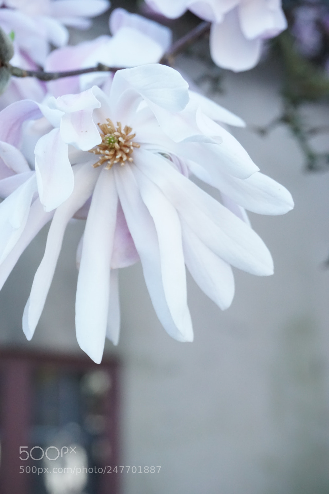 Sony a5100 sample photo. New beginnings photography