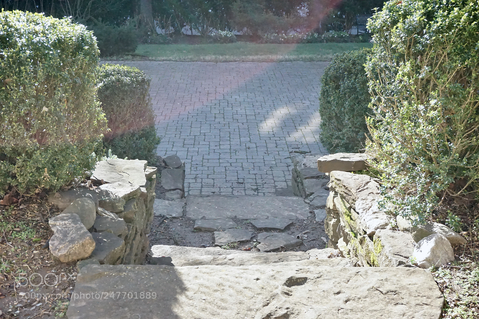 Sony a5100 sample photo. New beginnings photography