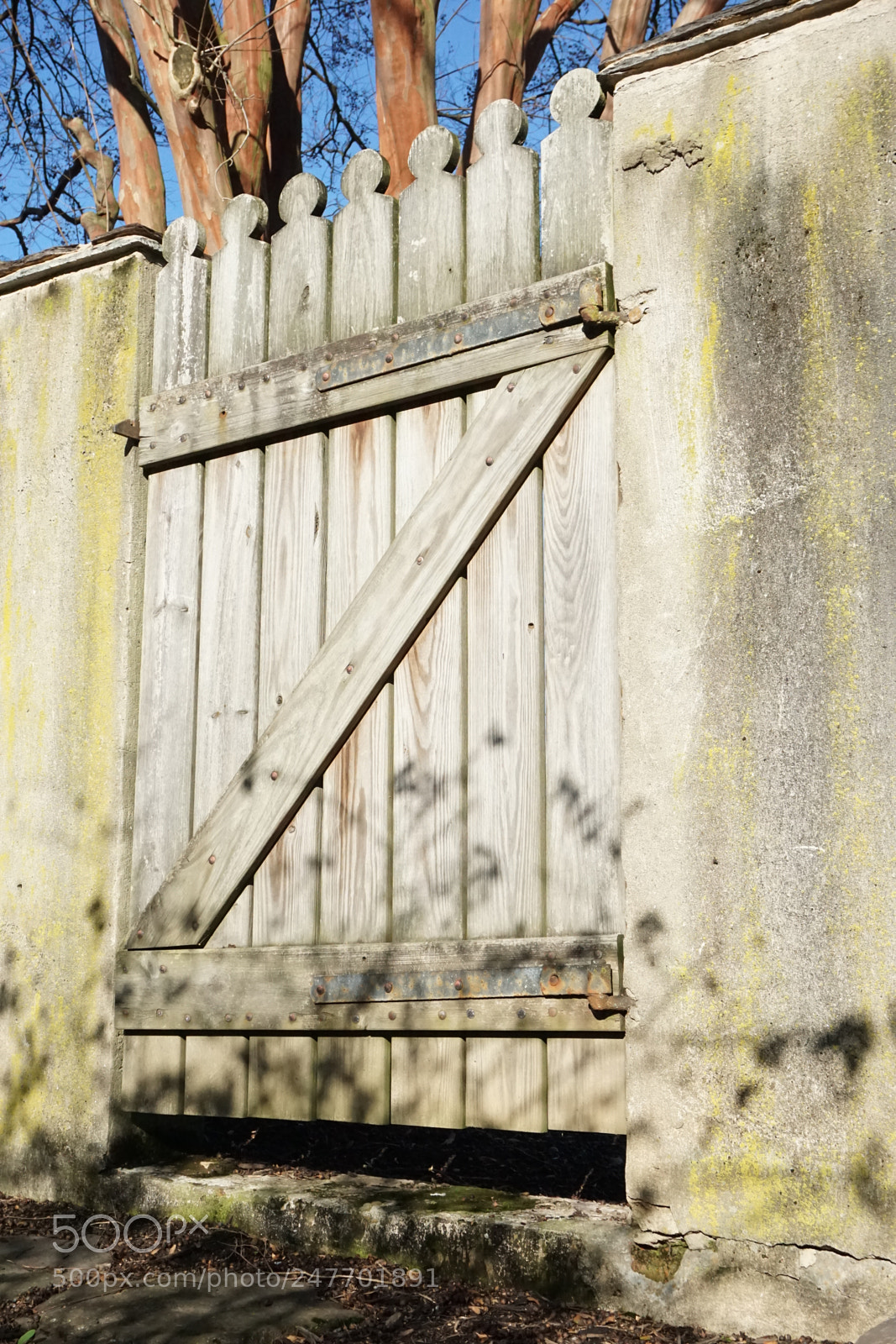 Sony a5100 sample photo. New beginnings photography