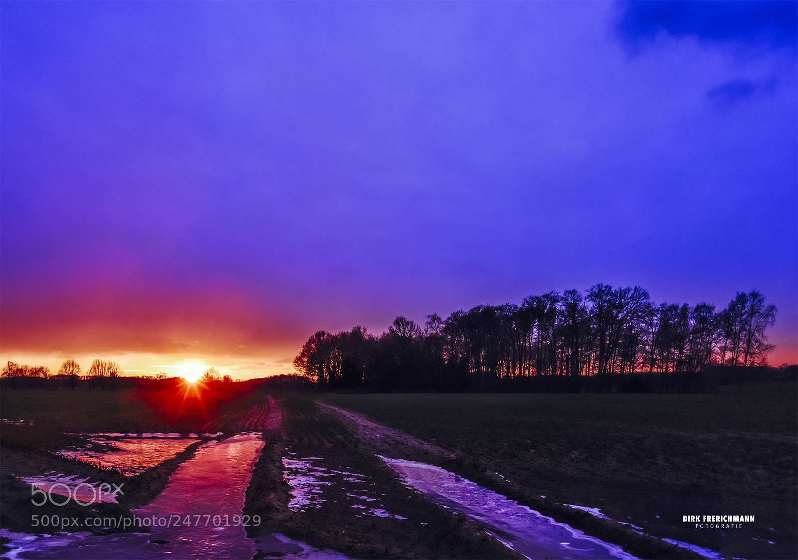 Nikon D810 sample photo. Winter evening photography