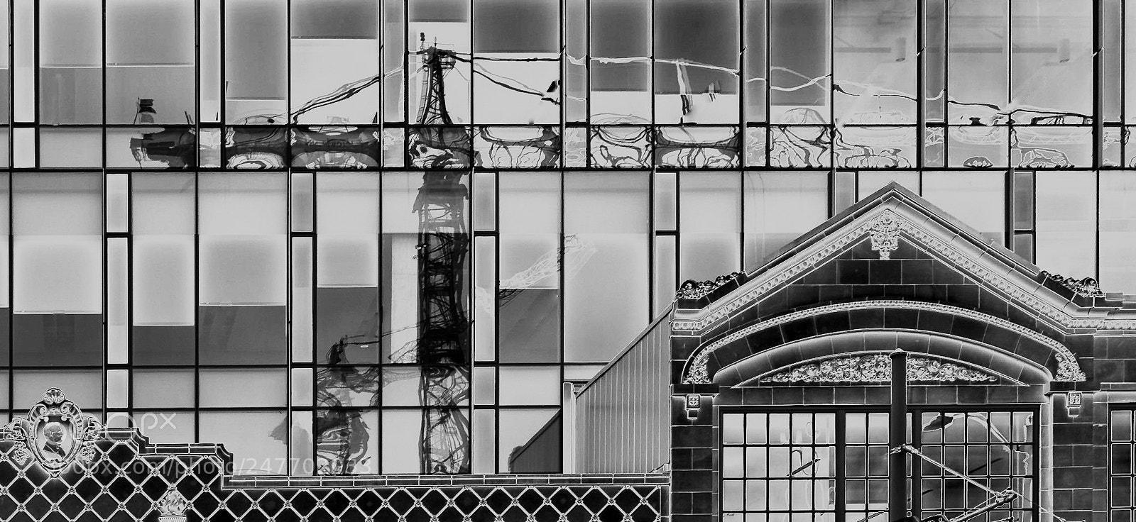 Fujifilm X-T2 sample photo. Twisted struggle, the sentimental photography