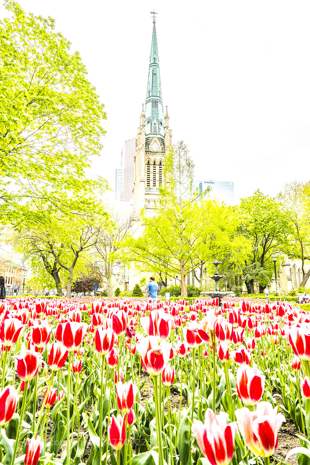 Panasonic Lumix DMC-GH4 sample photo. Toronto st james experimental photography