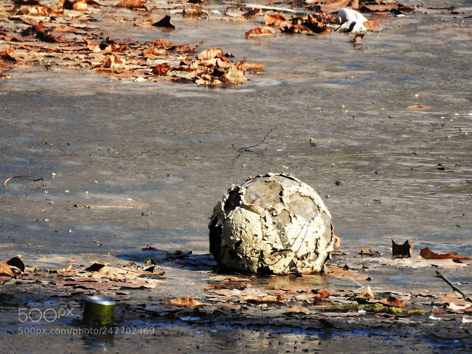 Nikon Coolpix P900 sample photo. Stillness on ice photography