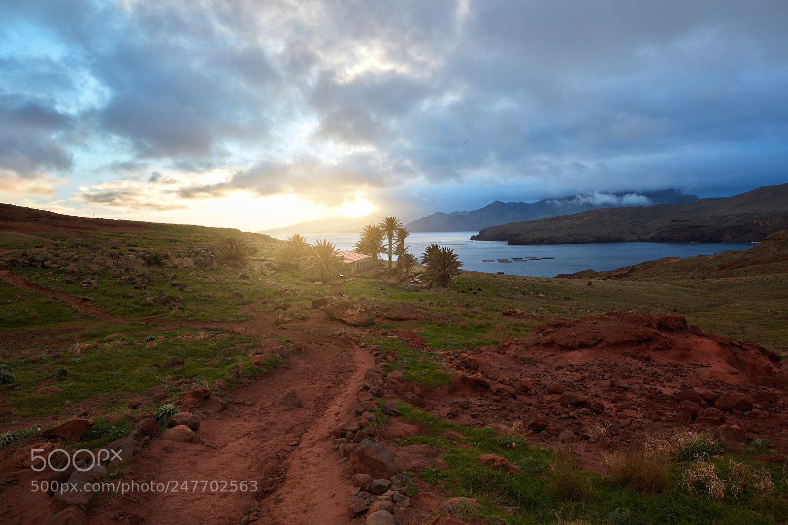 Canon EOS 5DS R sample photo. Madeira photography