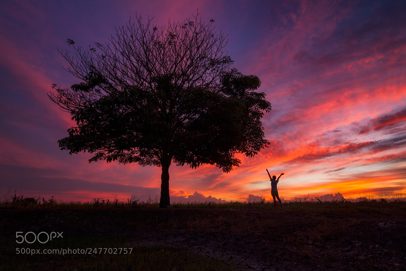 Canon EOS 7D sample photo. Silhouette of happy woman photography