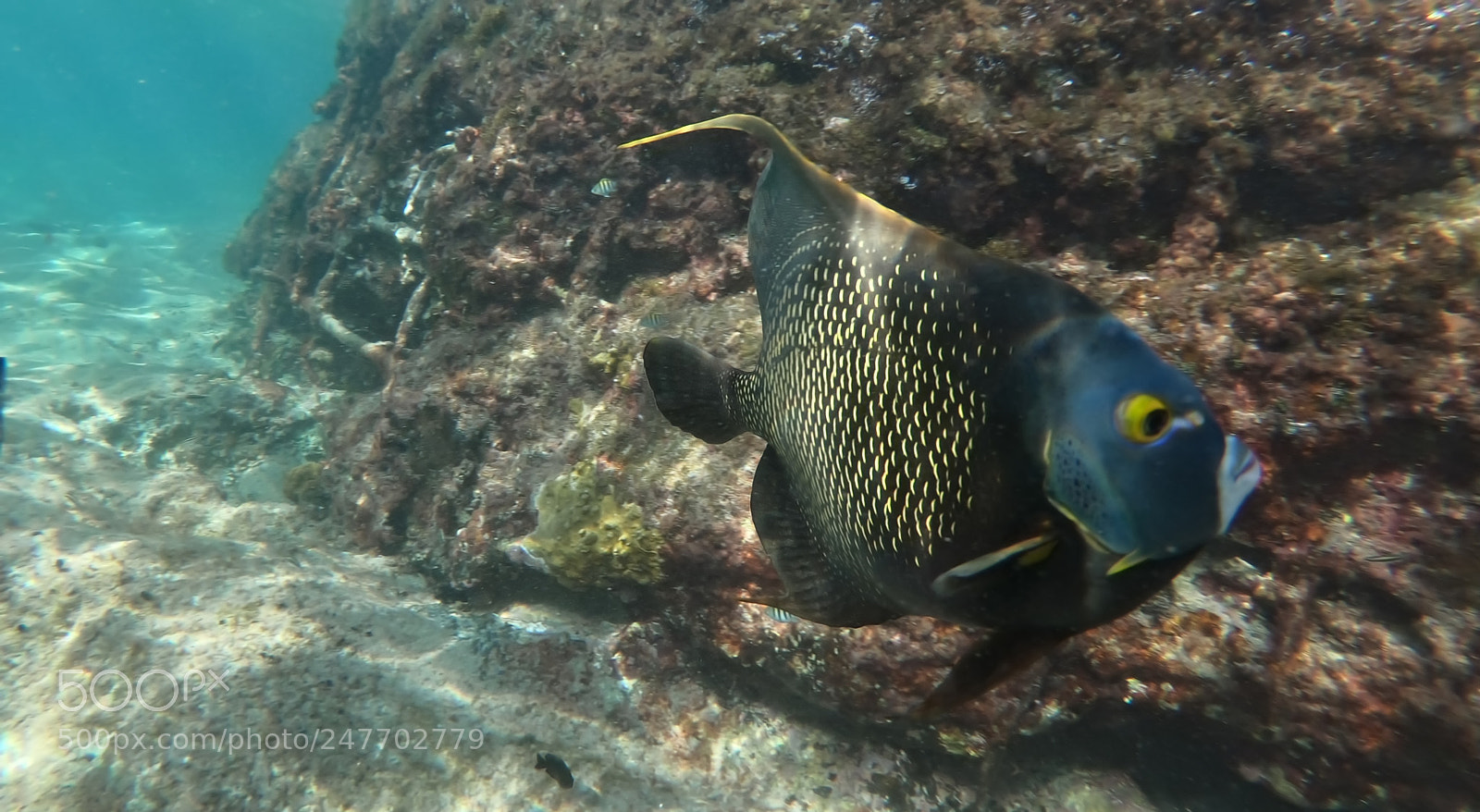 GoPro Hero6 Black sample photo. Untitled photography