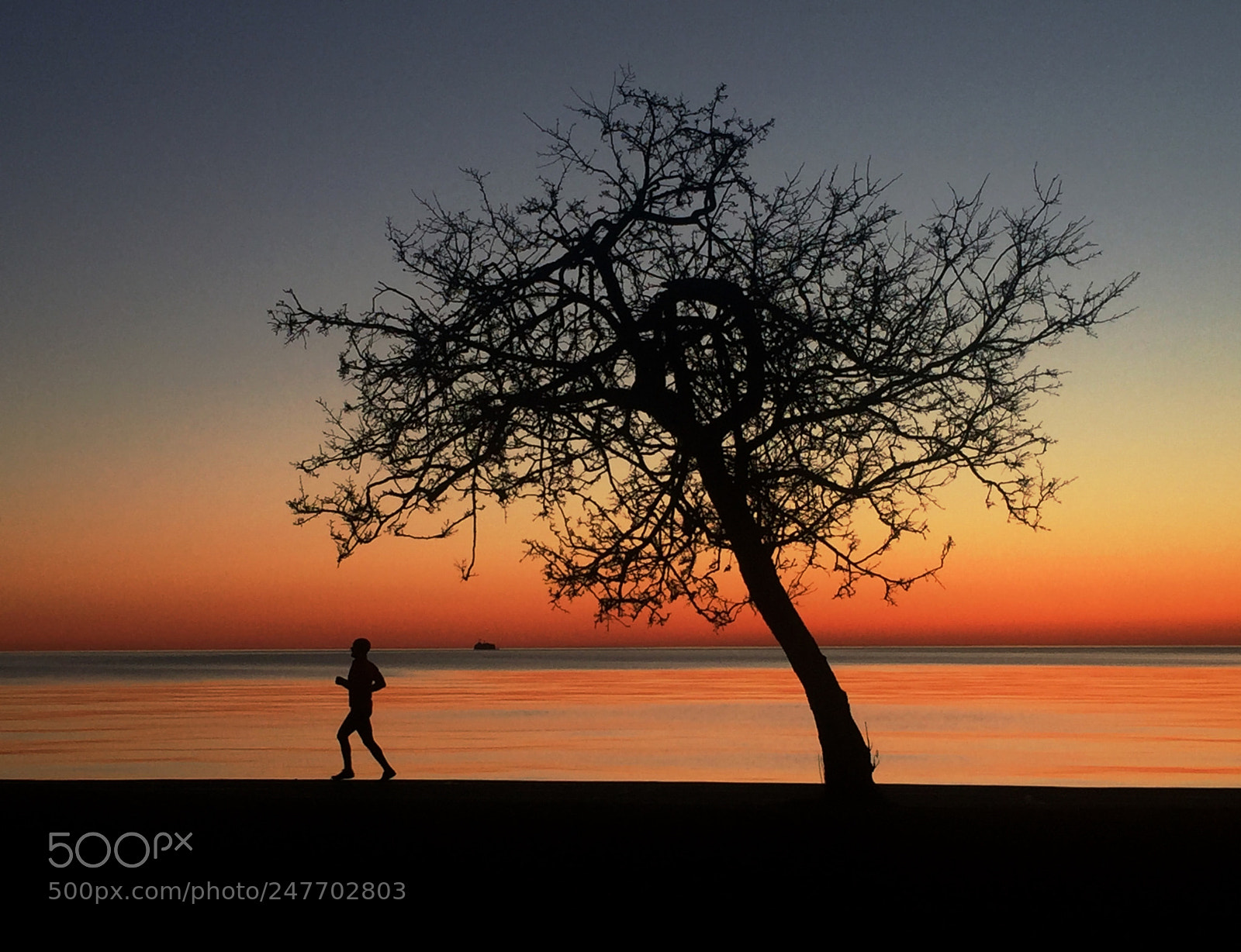 Apple iPhone 6 sample photo. Early morning jogger photography