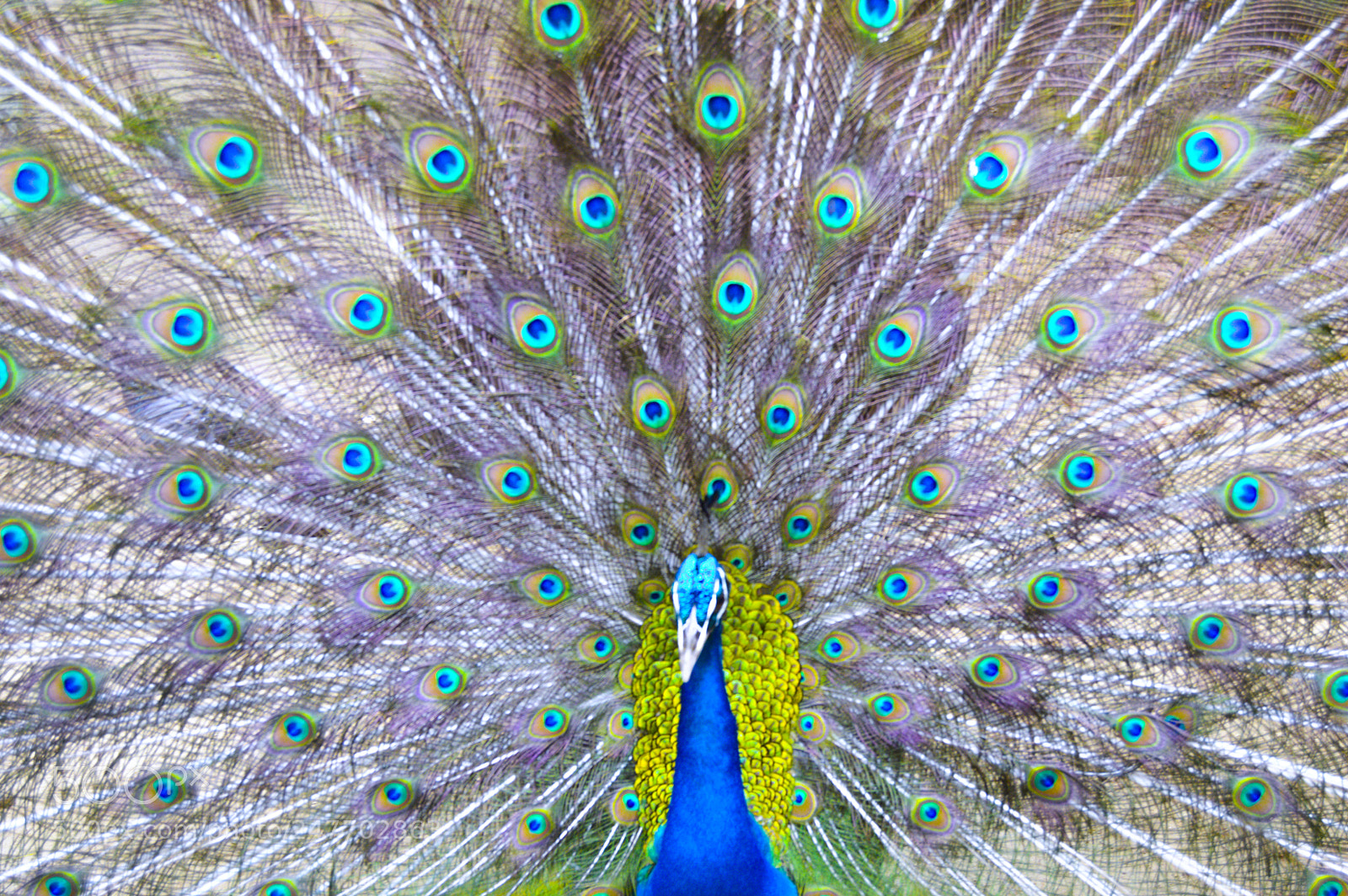 Nikon D3200 sample photo. Dsc photography