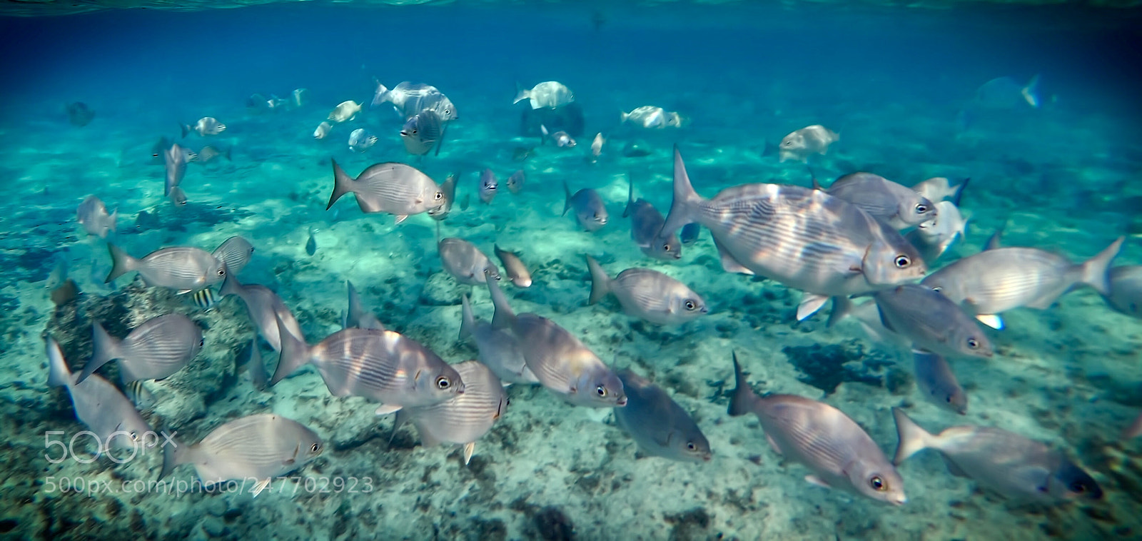 GoPro Hero6 Black sample photo. Untitled photography