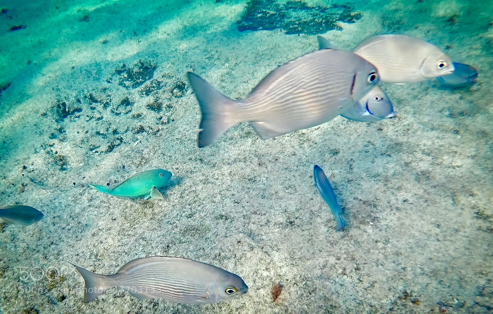 GoPro Hero6 Black sample photo. Untitled photography