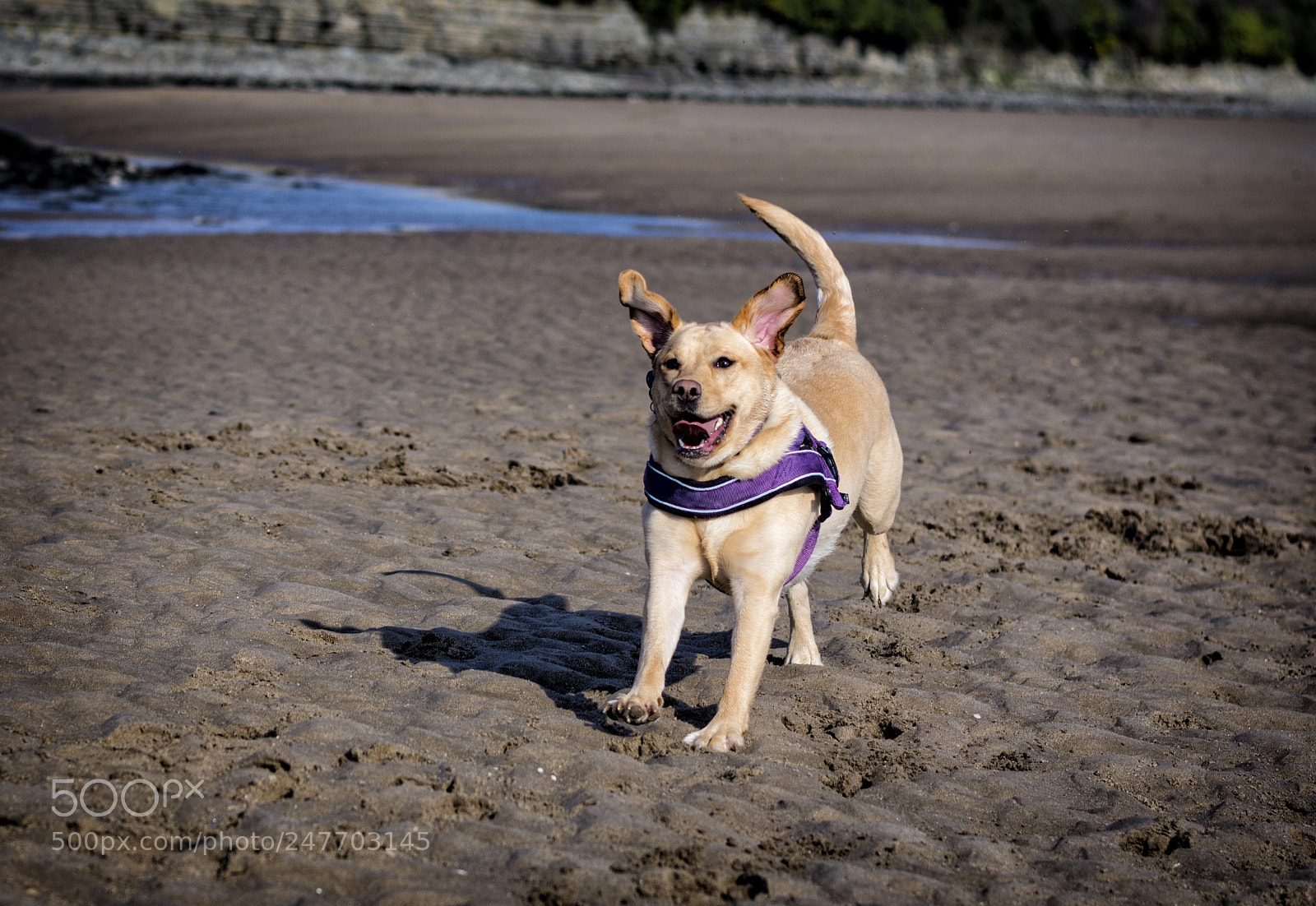 Nikon D7200 sample photo. Untitled photography