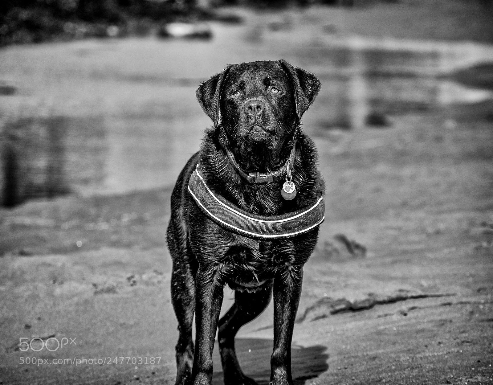 Nikon D7200 sample photo. Untitled photography