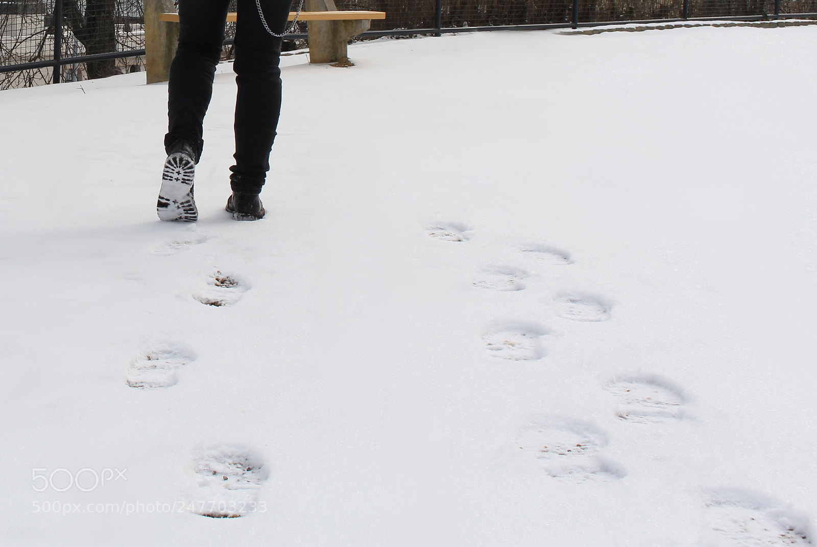 Canon EOS 700D (EOS Rebel T5i / EOS Kiss X7i) sample photo. ,,...and i walk alone" photography