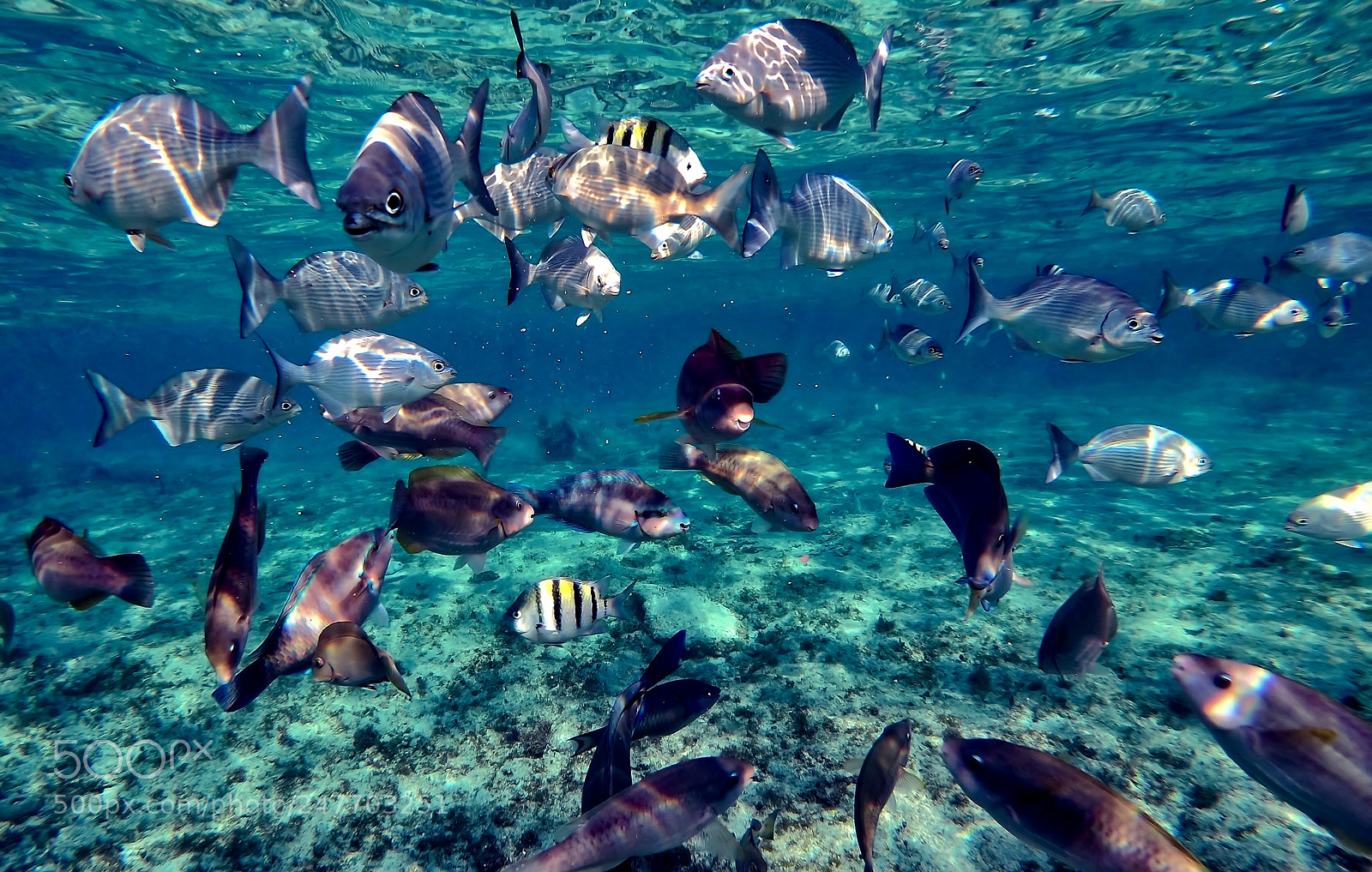 GoPro Hero6 Black sample photo. Untitled photography