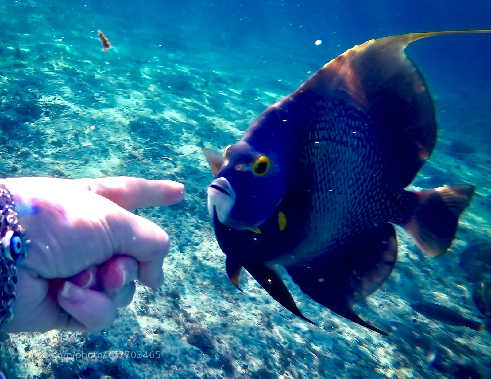 GoPro Hero6 Black sample photo. Untitled photography