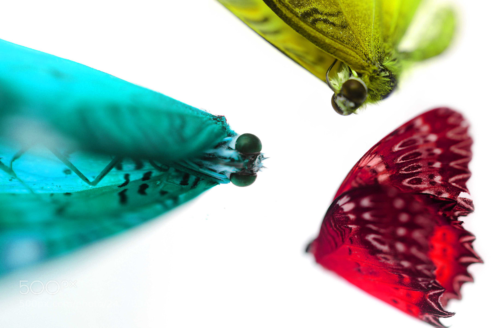 Nikon D90 sample photo. Primary colours photography