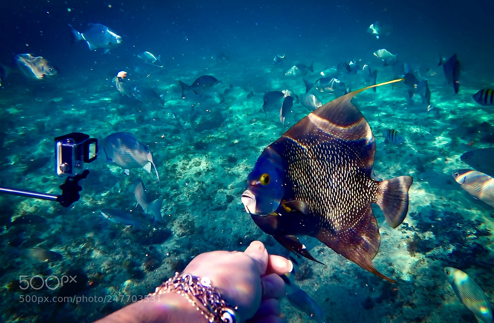 GoPro Hero6 Black sample photo. Untitled photography