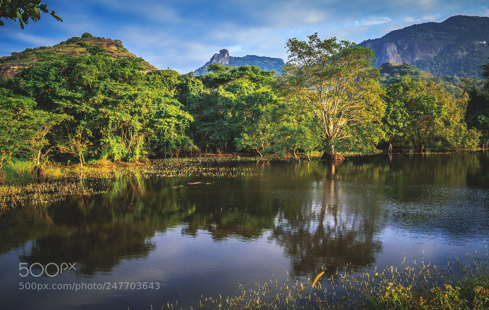 Canon EOS 600D (Rebel EOS T3i / EOS Kiss X5) sample photo. The kaludiya pokuna forest photography