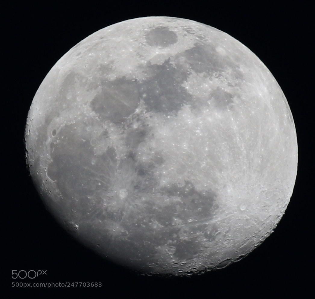 Canon EOS 7D Mark II sample photo. Untitled photography