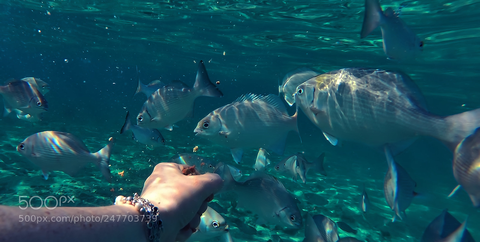 GoPro Hero6 Black sample photo. Untitled photography
