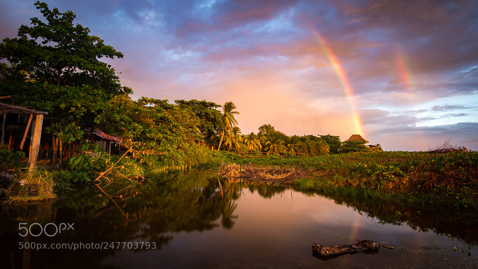 Nikon D610 sample photo. Rainbows photography