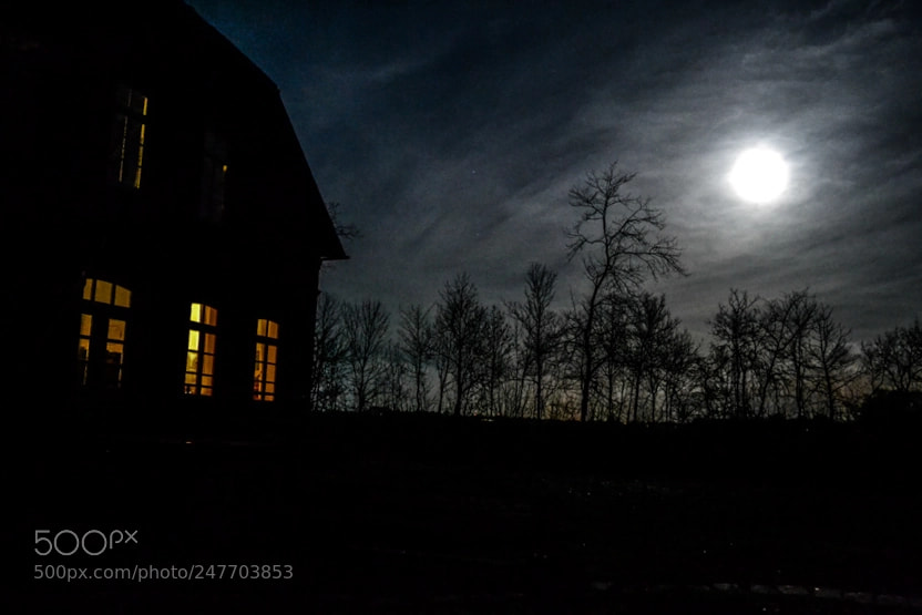 Nikon D3100 sample photo. Tenebrosa inquietudine photography