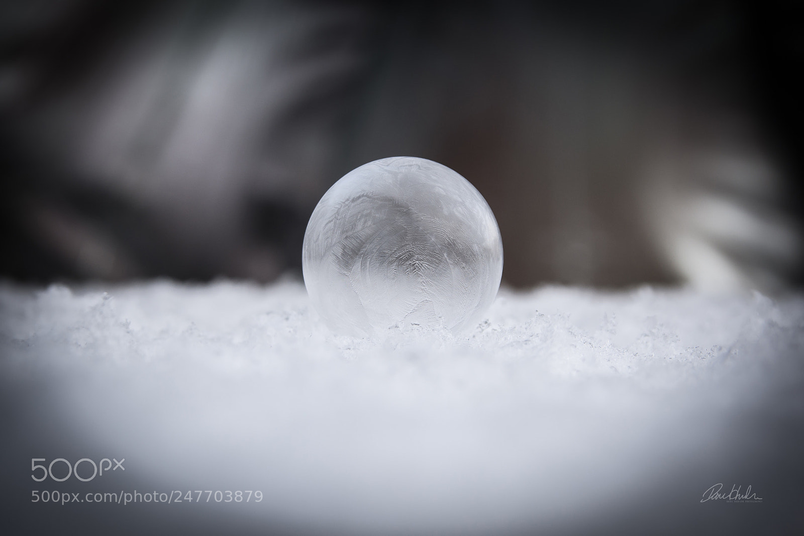 Nikon D7100 sample photo. Snow bubble photography