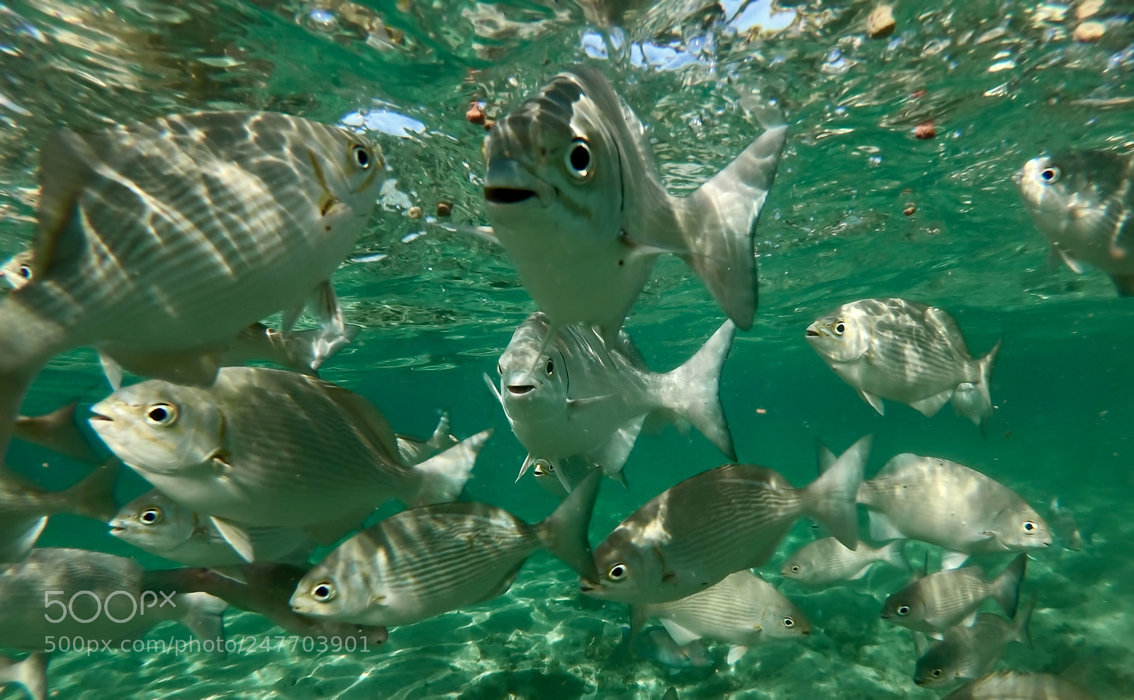 GoPro Hero6 Black sample photo. Untitled photography