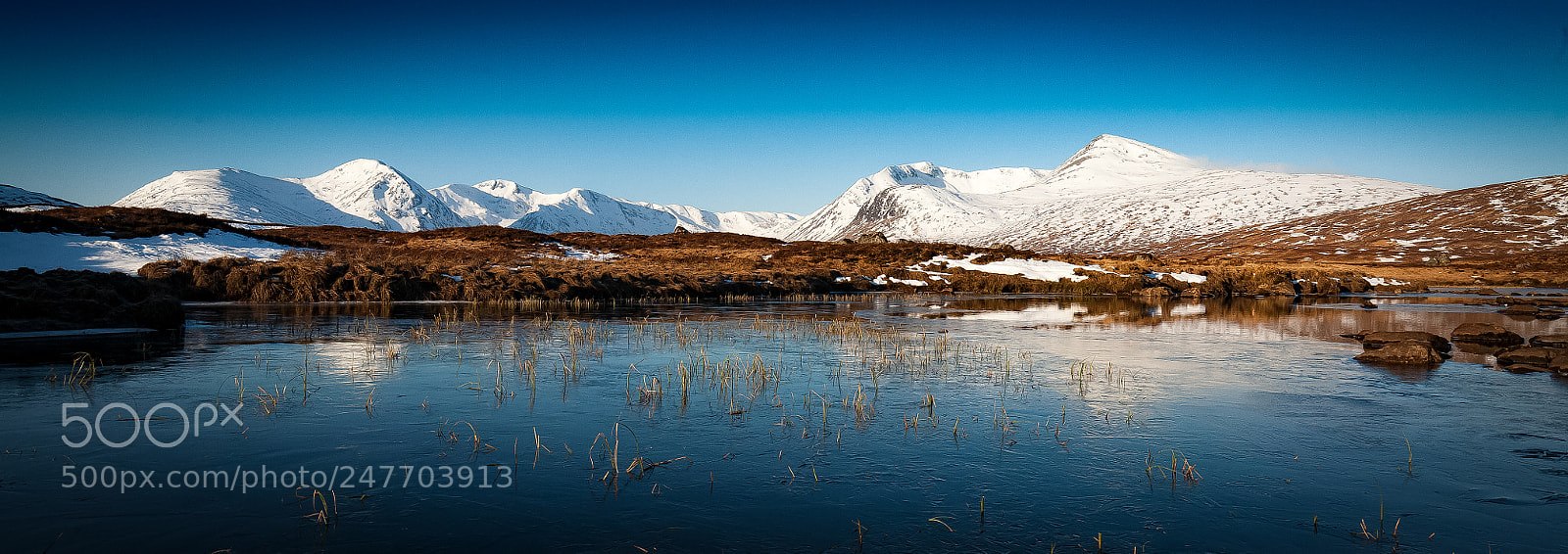 Canon EOS 5D sample photo. Frozen photography