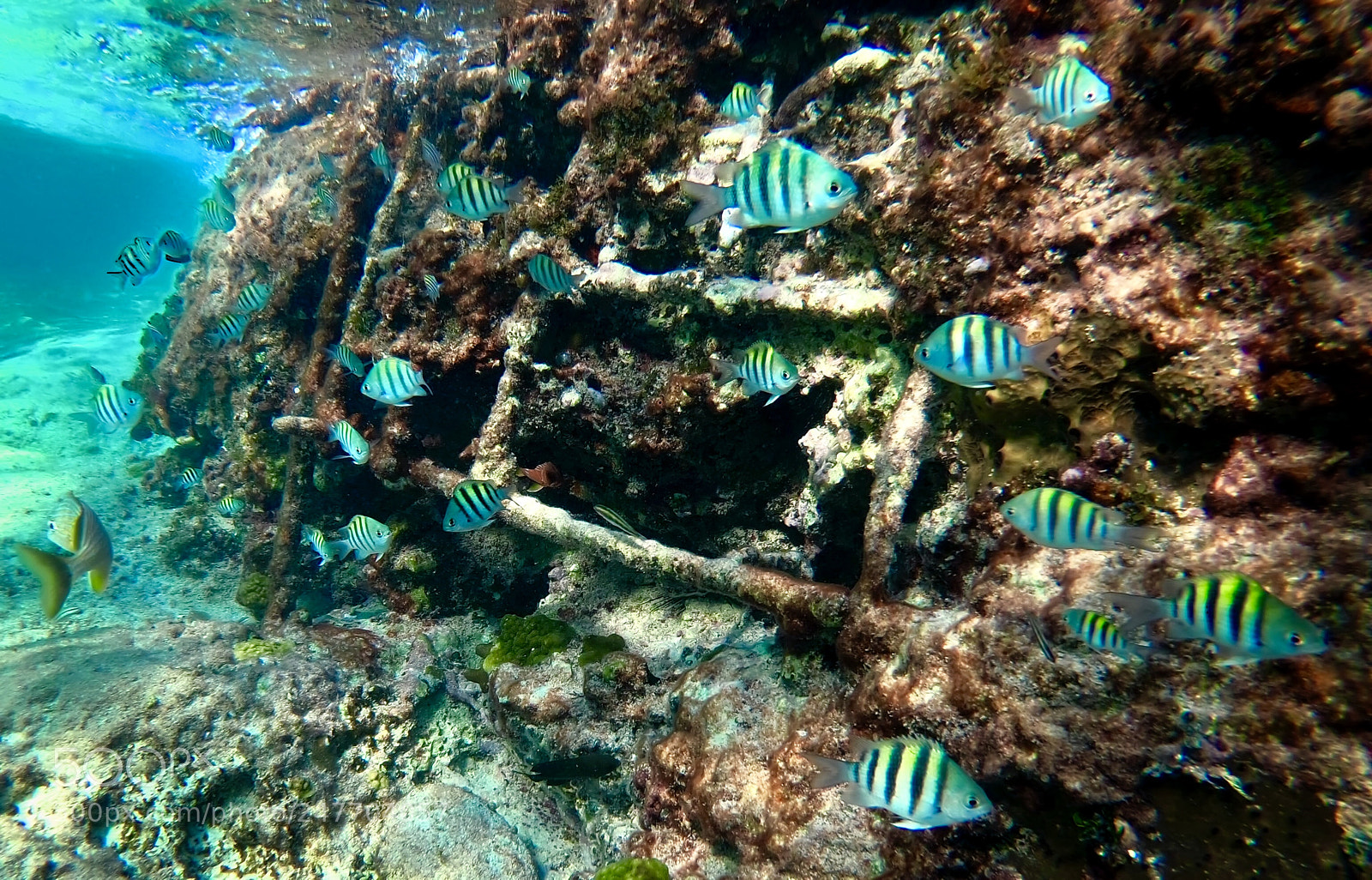 GoPro Hero6 Black sample photo. Untitled photography