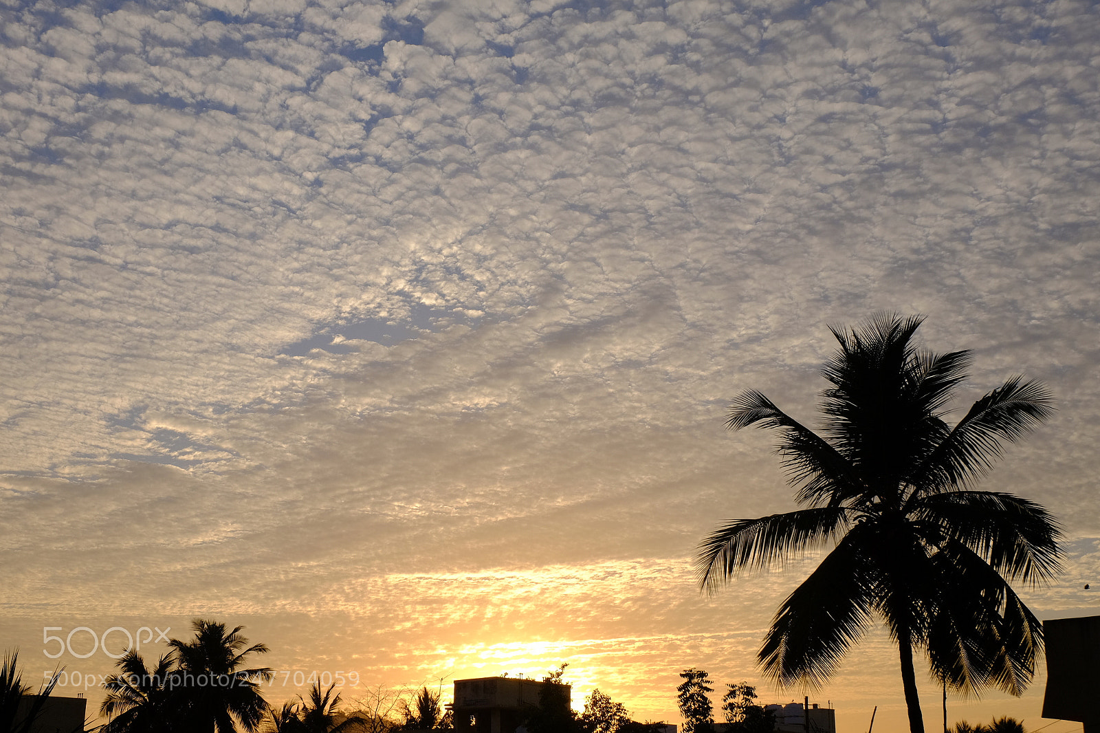 Fujifilm X-T10 sample photo. High altitude clouds 1 photography