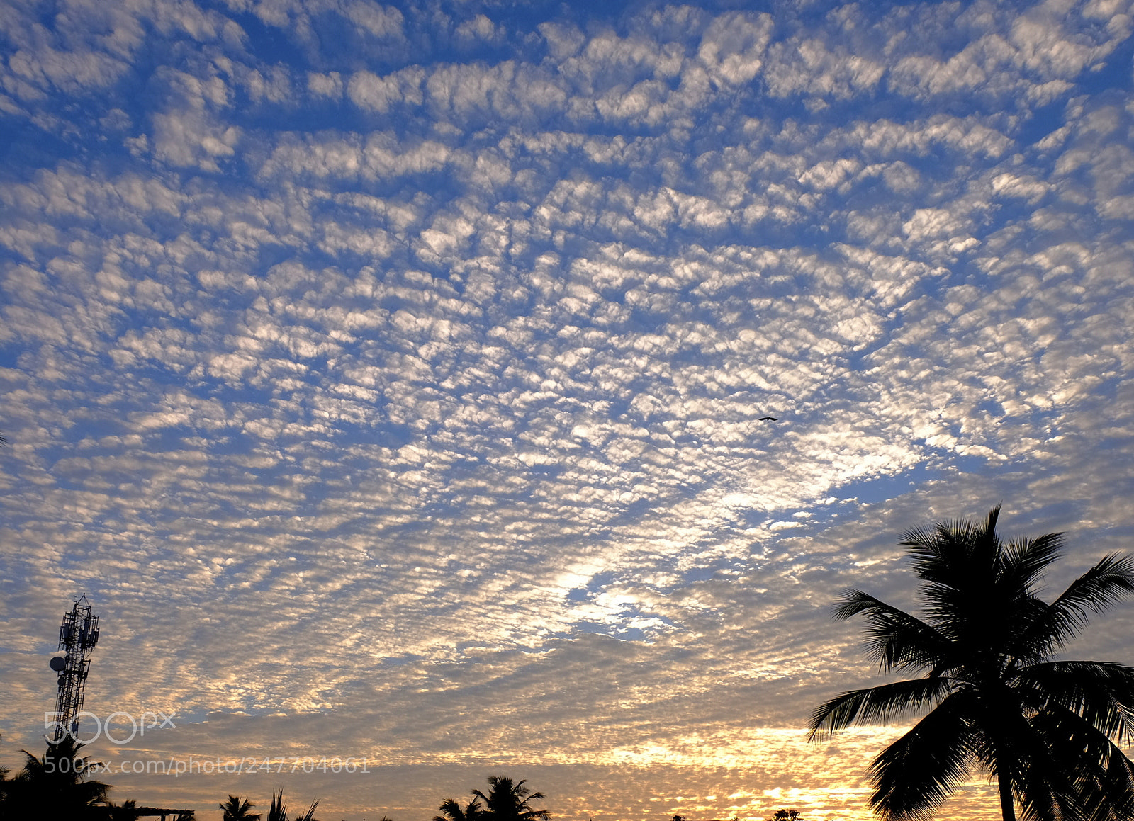 Fujifilm X-T10 sample photo. Evening sky photography