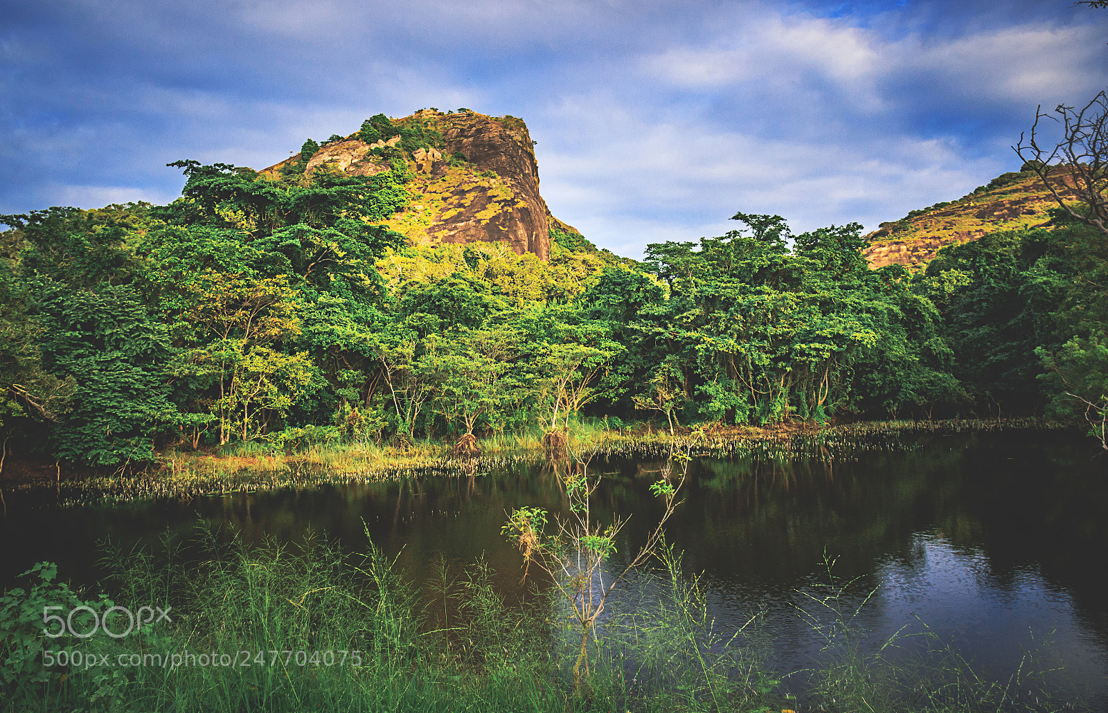 Canon EOS 600D (Rebel EOS T3i / EOS Kiss X5) sample photo. The kaludiya pokuna forest photography