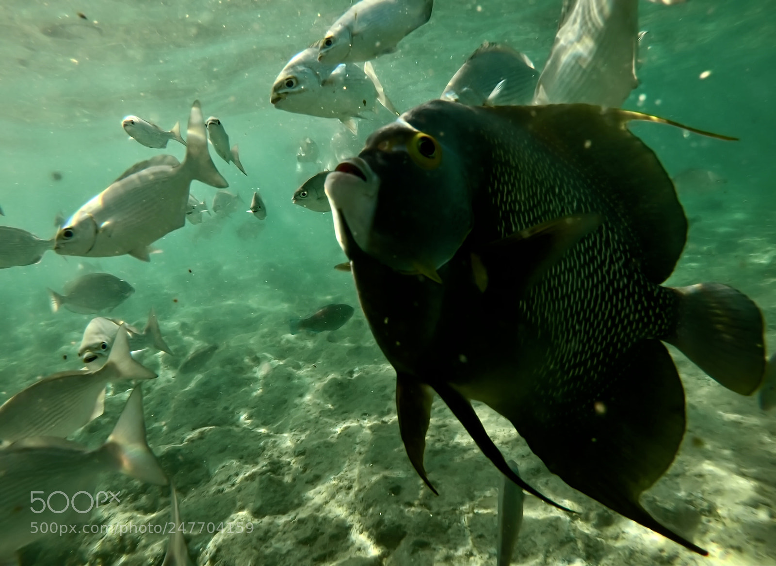 GoPro Hero6 Black sample photo. Untitled photography